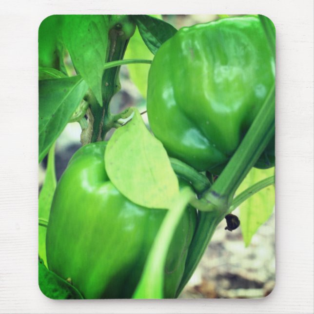 Tapis De Souris Jardin vert Peppers Nature (Devant)
