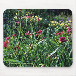 Tapis De Souris Jardins de Daylily de Reblooming de jour pluvieux