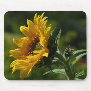 Tapis De Souris Jaune de pollen de pétales de tournesols
