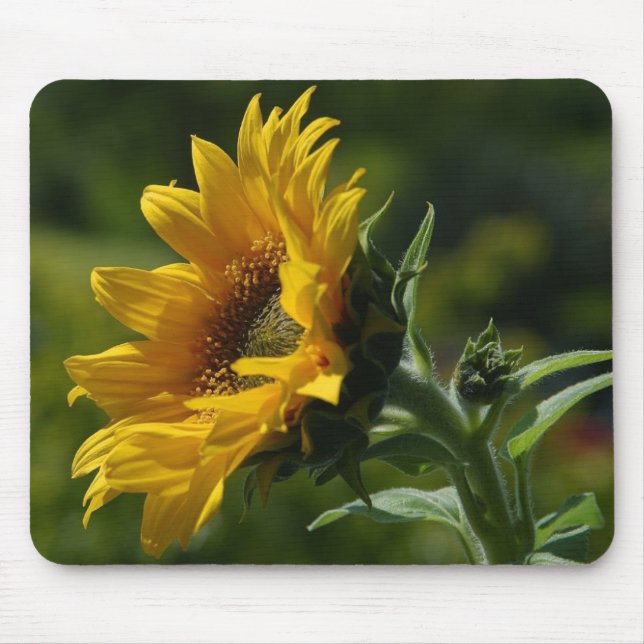 Tapis De Souris Jaune de pollen de pétales de tournesols (Devant)