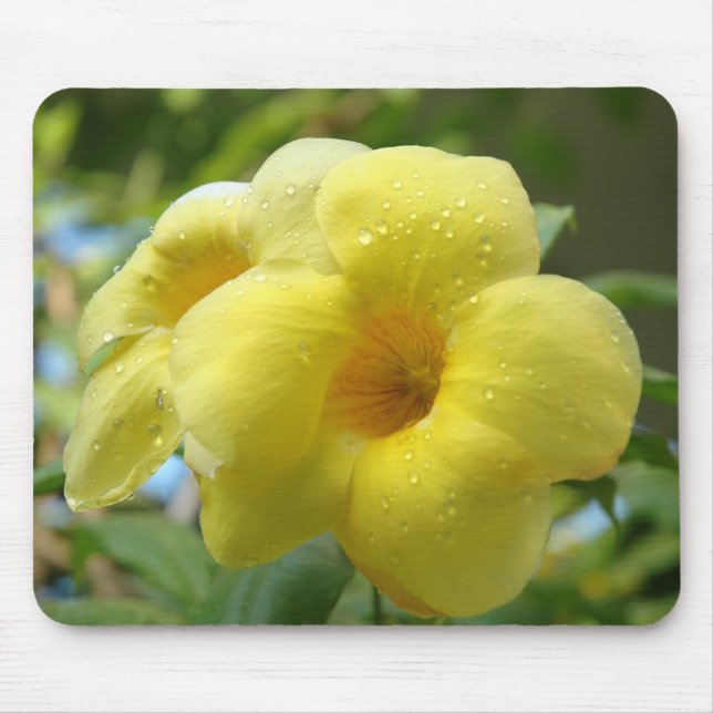 Tapis De Souris ~ jaune Mousepad de fleur (Devant)
