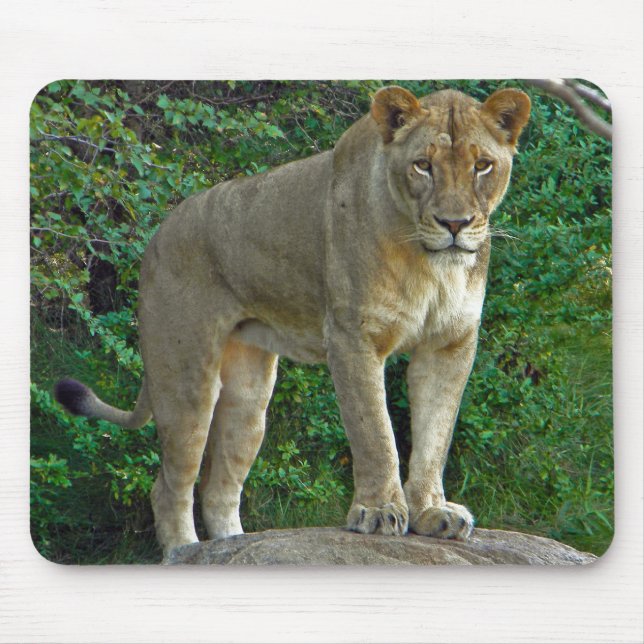 Tapis De Souris Je Suis Une Femme ! (Devant)