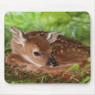 Tapis De Souris Jeune cerf à queue blanche âgé de deux jours, Kent