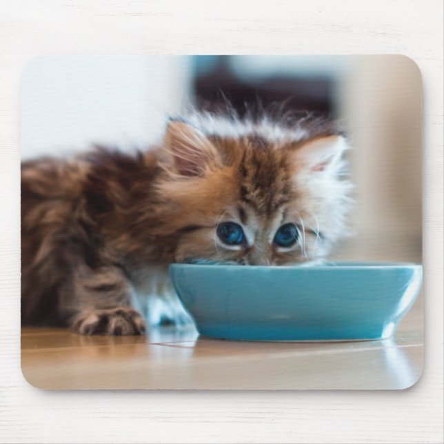 Tapis De Souris Jeune chaton persan (Devant)