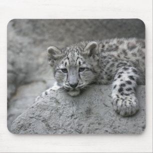 Tapis De Souris Jeune léopard des neiges de 4 mois drapé sur un ro