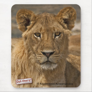 Tapis De Souris Jeune lion