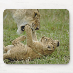 Tapis De Souris Jeune lion jouant