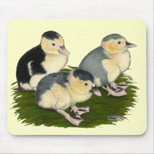 Tapis De Souris Jeunes canards Pie bleue