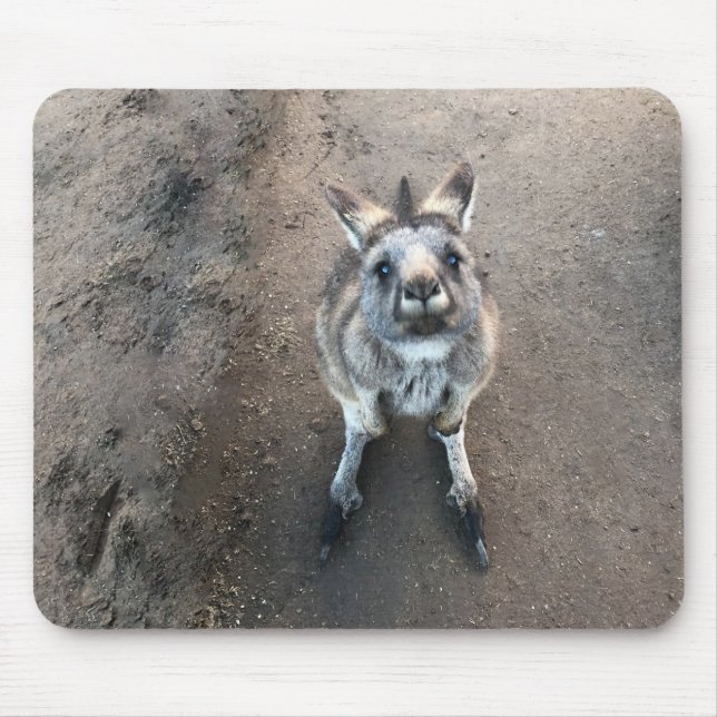 Tapis De Souris Joey Kangaroo Pad (Devant)