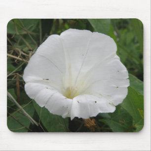 Tapis De Souris Joli blanc Convolvulus Fleur Mousepad