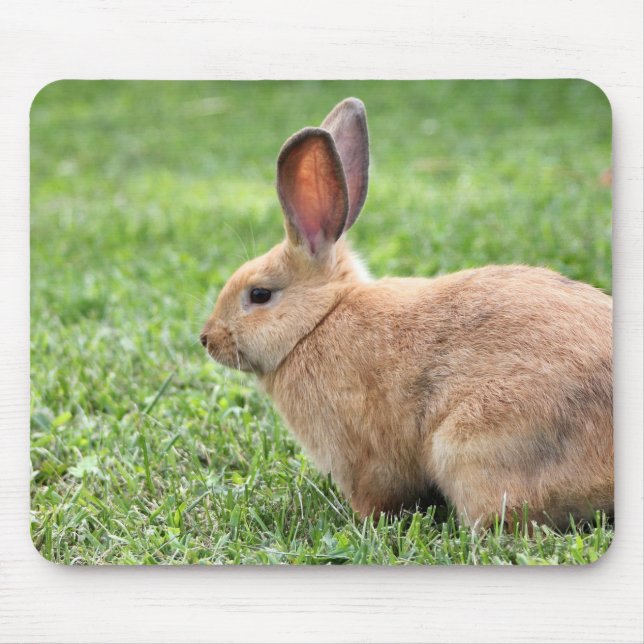 Tapis De Souris Joli Bunny (Devant)