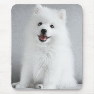 Tapis De Souris Joli chiot Spitz japonais tout mignon
