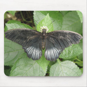 Tapis De Souris Joli Papillon Tropical et Fleurs Mousepad