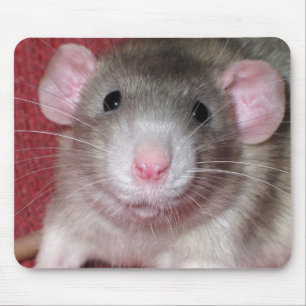 Tapis De Souris Joli Rat Dumbo