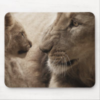 Jolie lionne et club joueuse