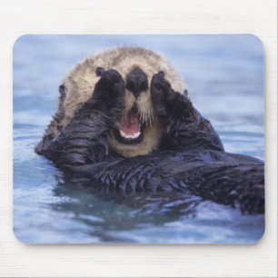 Tapis De Souris Jolie loutre de mer   Alaska, États-Unis