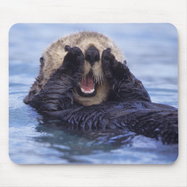 Tapis De Souris Jolie loutre de mer | Alaska, États-Unis (Devant)