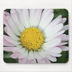 Tapis De Souris Jolie marguerite
