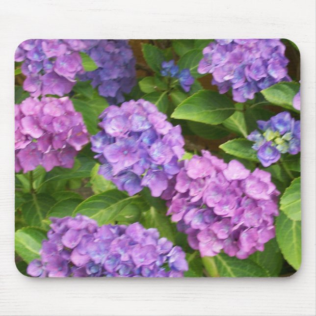 Tapis De Souris Jolie Mousepad, rose et bleu Hydrangeas (Devant)