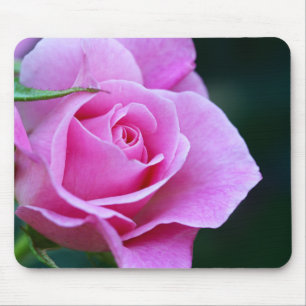 Tapis De Souris Jolie rose rose photo