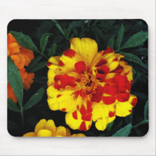 Tapis De Souris Jolies fleurs de souci rouges et jaunes