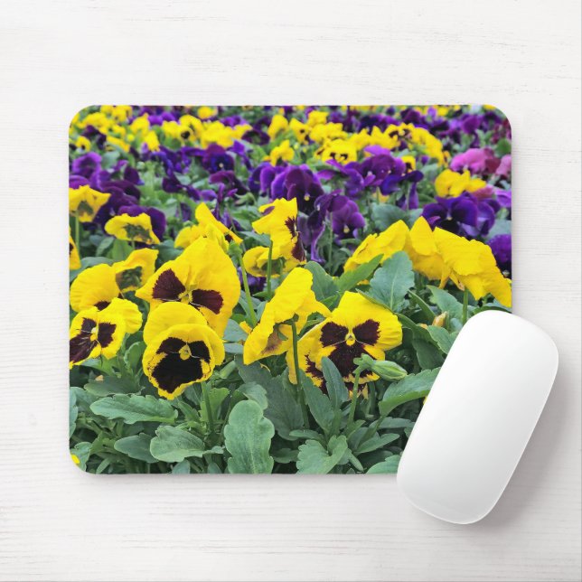 Tapis De Souris Jolies Pansies dans une serre (Avec souris)