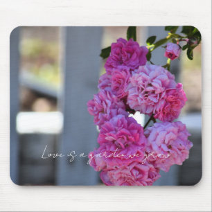 Tapis De Souris Jolies Roses Roses Clôture Blanche Photographie