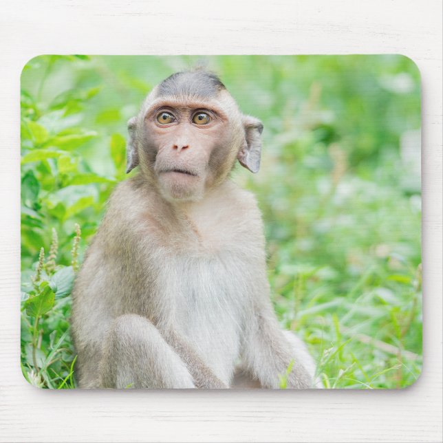 Tapis De Souris Jote jeune Brown singe araignée (Devant)