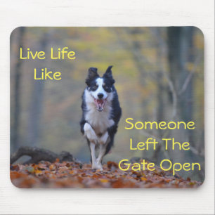 Tapis De Souris Joyeux chien de Collie de la Frontière en train d