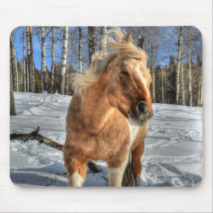 Tapis De Souris Joyeux Palomino Pinto Horse et neige
