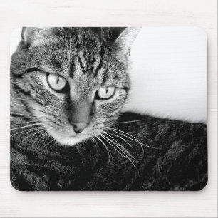 Tapis De Souris Judas