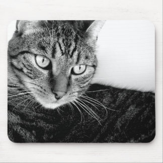 Tapis De Souris Judas