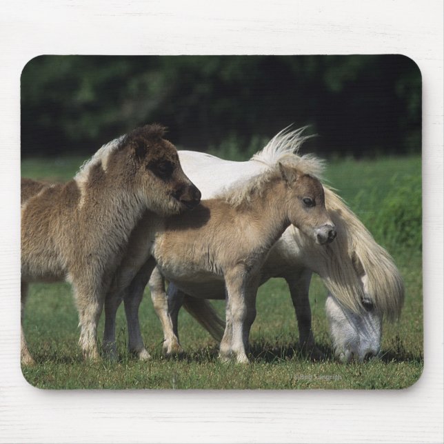 Tapis De Souris Jument et poulains miniatures 3 (Devant)