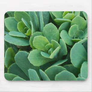 Tapis De Souris Just Sedum