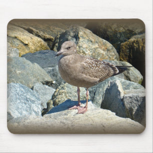 Tapis De Souris Juvenile Great Black-Backed Gull