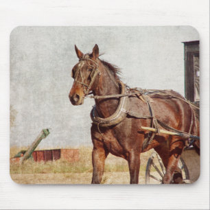 Tapis De Souris Kalona, Iowa Amish Horse and Buggy