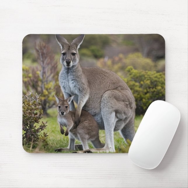 Tapis De Souris Kangaroo et Joey (Avec souris)