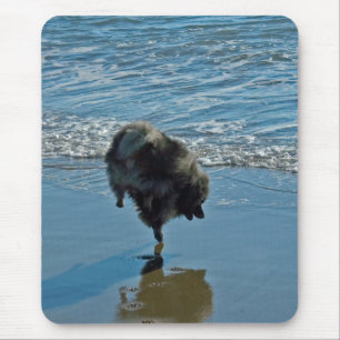 Tapis De Souris Keeshond Ballet Photographie - Joli chien d'origin