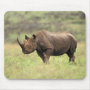 Tapis De Souris Kenya, parc national de Nairobi. Rhinocéros noir