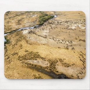 Tapis De Souris Kenya : réserve nationale du Masai Mara, Mara