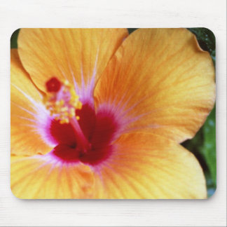Tapis De Souris Ketmie, jaune-orange