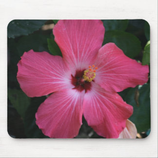 Tapis De Souris ketmie rose