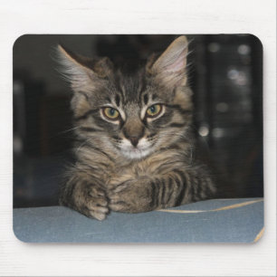 Tapis De Souris Kimber Kitty écrit "Oh Really ?" Mouspad
