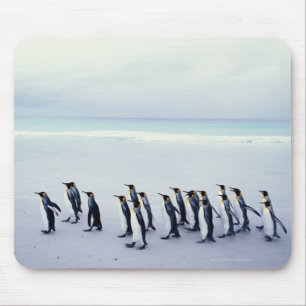 Tapis De Souris King pingouins