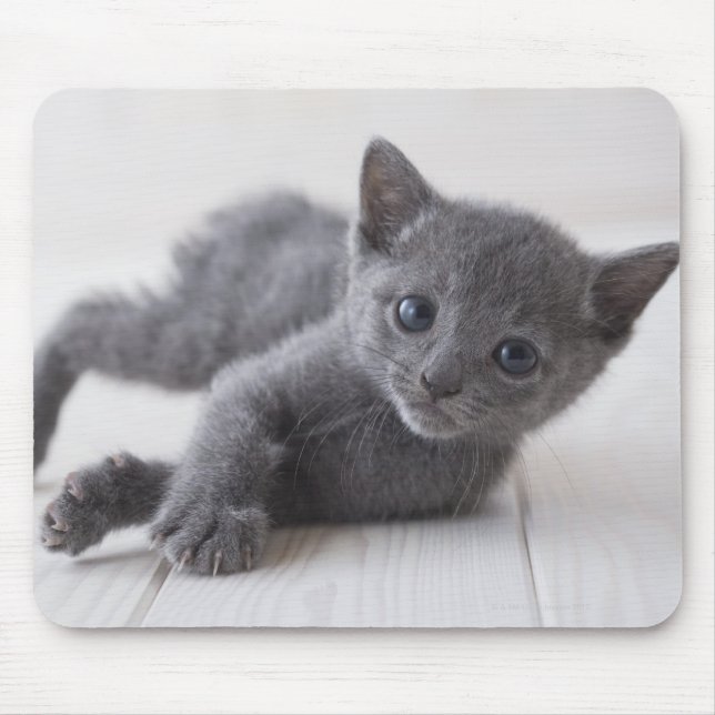 Tapis De Souris Kitten bleu russe (Devant)