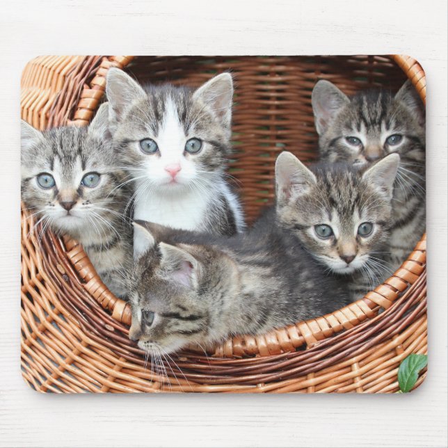 Tapis De Souris Kitty Chat Kittens Dans Un Panier Panier (Devant)
