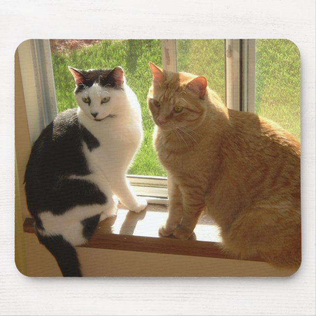 Tapis De Souris Kitty Chat Love (Devant)