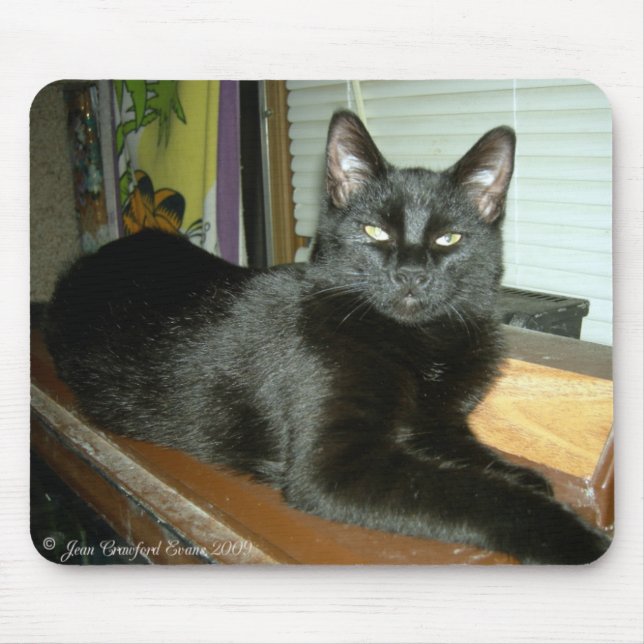 Tapis De Souris Kitty impérial (Devant)