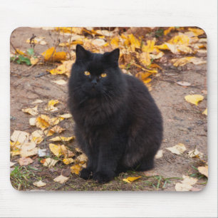 Tapis De Souris Kitty noir pelucheux et feuille d'automne