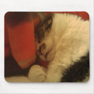 Tapis De Souris Kitty somnolent